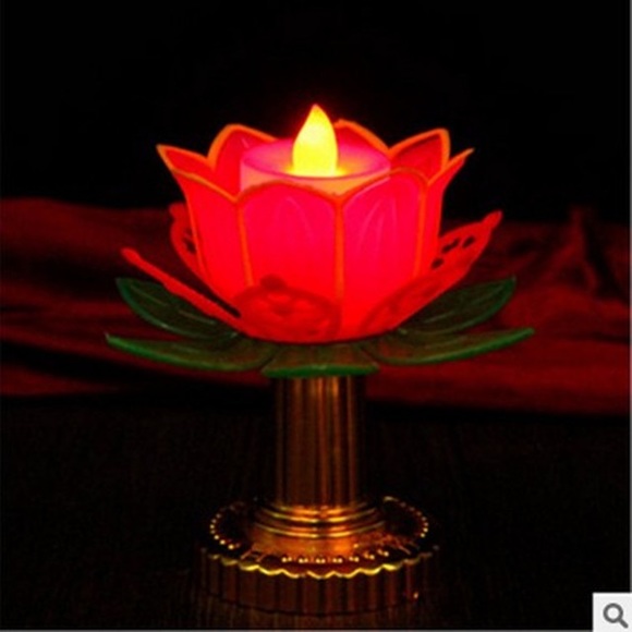 Meet your Posher, Tenzin - Picture 1 of 1